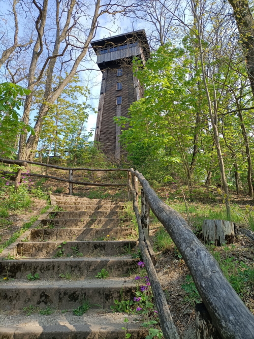 Aussichtsturm auf dem Kranichsberg Woltersdorf