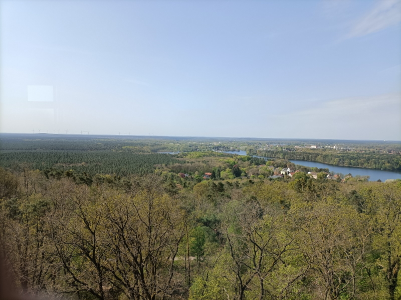 Aussicht vom Turm auf dem Kranichsberg