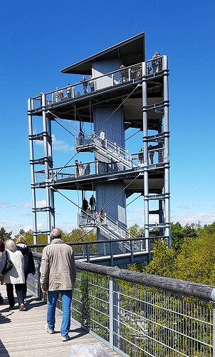 Baumkronenpfad Laufweg