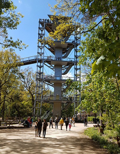 Baumkronenpfad Asssichtsturm